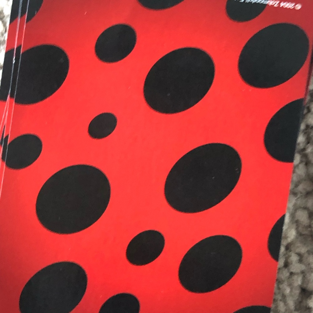 The Lady Bug Game - Picture 11 of 11